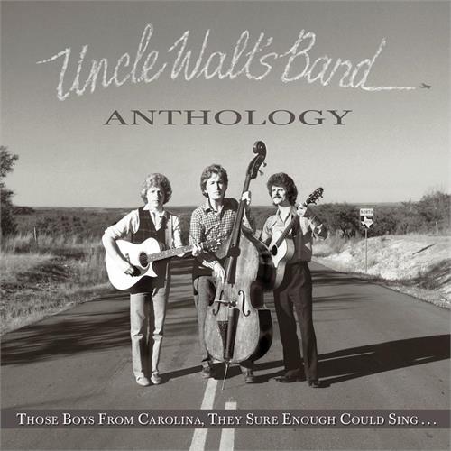 Uncle Walt's Band Anthology (LP)
