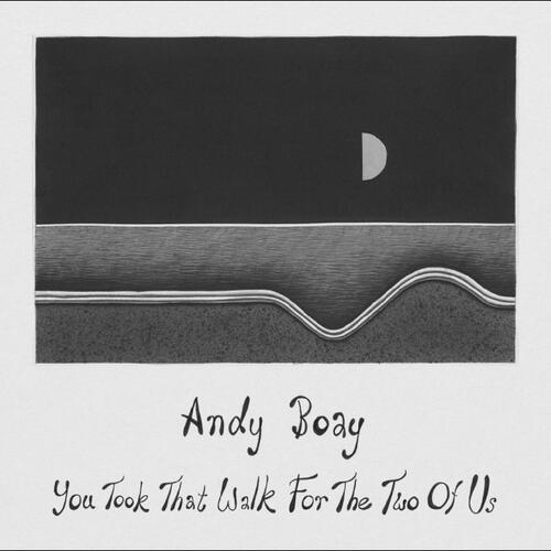 Andy Boay You Took That Walk For The Two Of… (LP) 