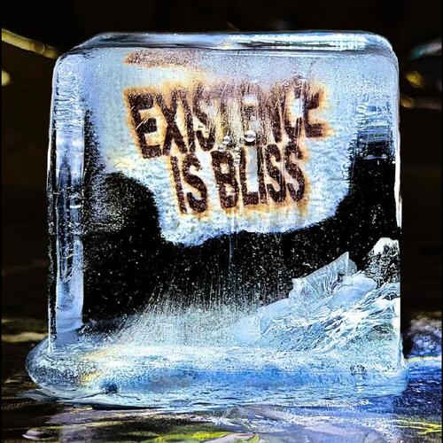 Deadletter Existence Is Bliss (CD) 