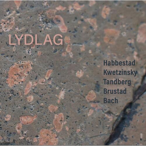 Habbestad, Kwetzinsky, Tandberg, Brustad Lydlag (CD) 