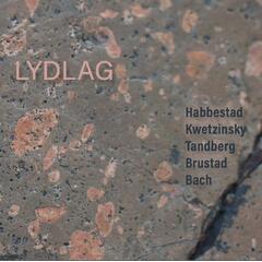 Habbestad, Kwetzinsky, Tandberg, Brustad Lydlag (CD)