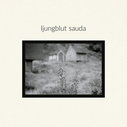 Ljungblut Sauda / Vietnam - LTD (LP) 