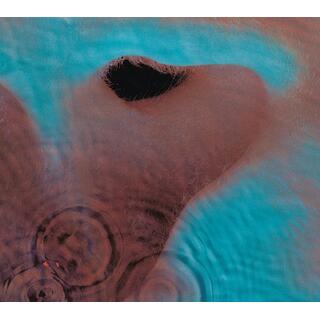 Pink Floyd Meddle (CD)