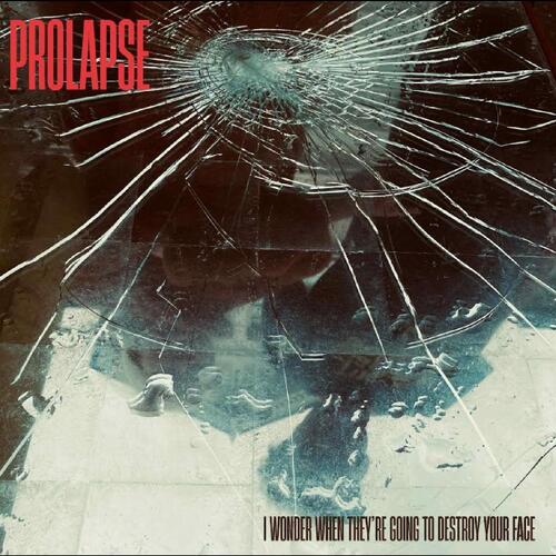 Prolapse I Wonder When They're Going To… (CD) 