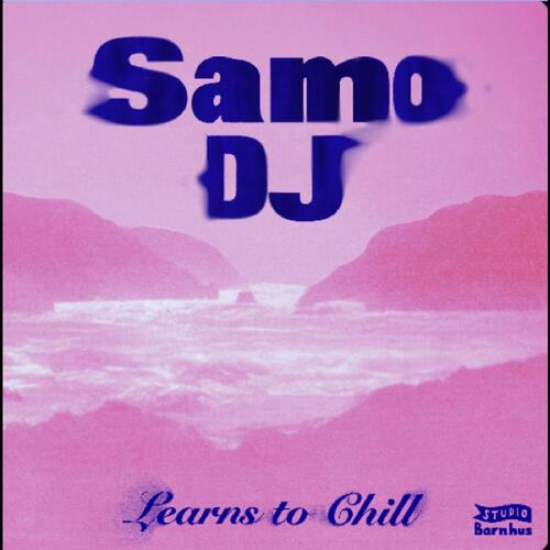 Samo DJ Learns To Chill (12") 
