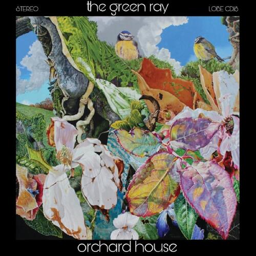 The Green Ray Orchard House (LP) 