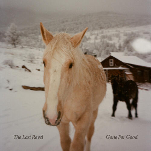 The Last Revel Gone For Good (LP) 