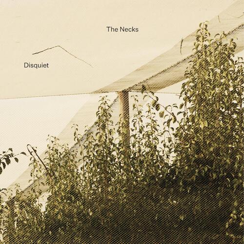 The Necks Disquiet (3CD) 
