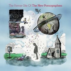 The New Pornographers The Former Site Of - LTD (LP)