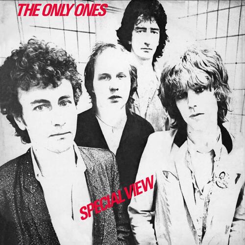 The Only Ones Special View - LTD (LP) 