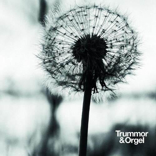 Trummor & Orgel Graceful Degradation/New Beginning (LP) 