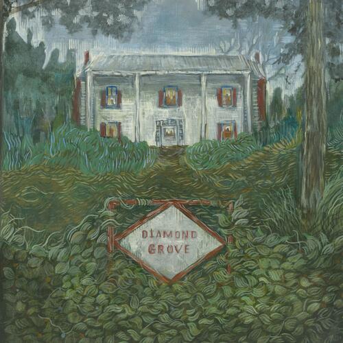 Weirs Diamond Grove (LP) 