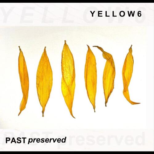 Yellow6 Past Preserved (CD) 