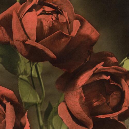 Cindy Another Country (LP) 