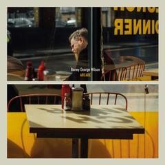 Danny George Wilson Arcade (LP)