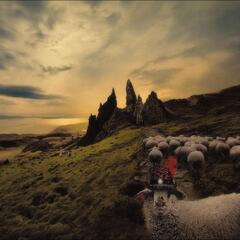 Franck Carducci Sheeple (LP)