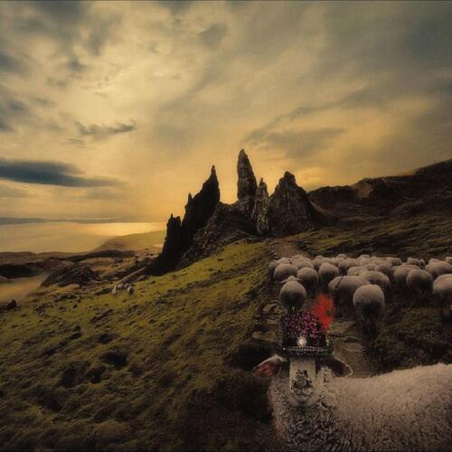 Franck Carducci Sheeple (LP) 