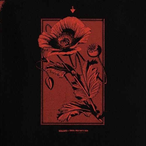 Kollaps Until The Day I Die (CD) 