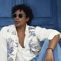 Laurent Voulzy 21 Souvenirs (2LP)