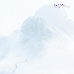 Magnify The Sound Searching for A Quiet Place (LP)