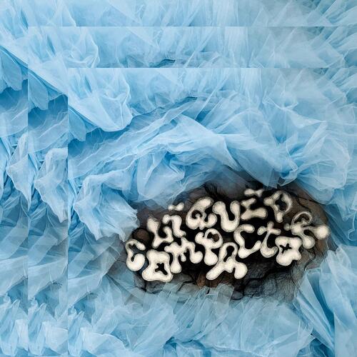 Penny & The Pits Liquid Compactor (CD) 