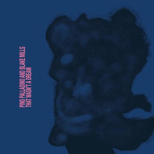 Pino Palladino And Blake Mills That Wasn't A Dream (LP) 