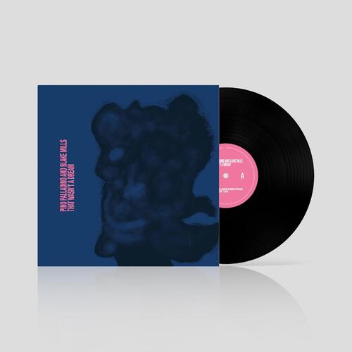 Pino Palladino And Blake Mills That Wasn't A Dream (LP) 