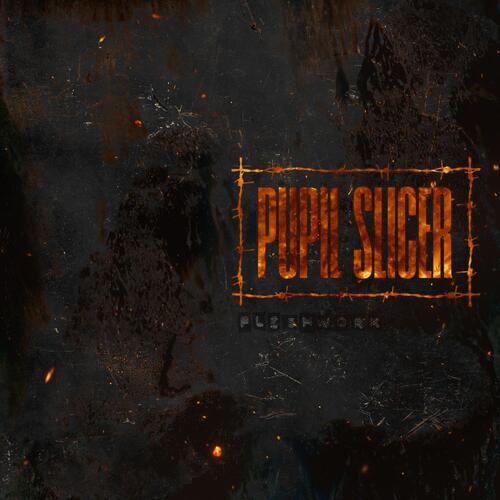 Pupil Slicer Fleshwork (CD) 