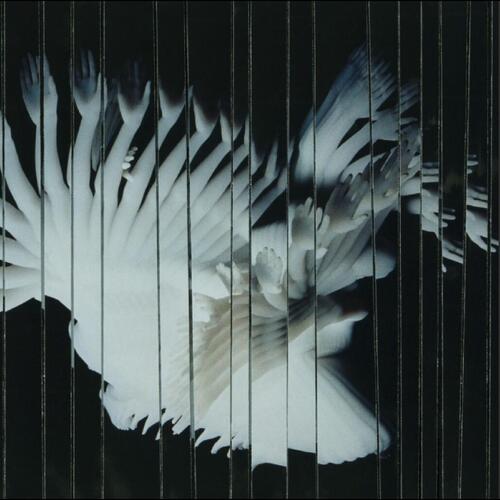 Scaler Endlessly (CD) 