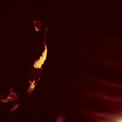 Skepticism Stormcrowfleet: 30th Anniversary… (CD) 