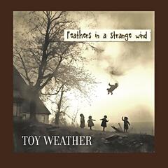 Toy Weather Feathers In A Strange Wind (LP)