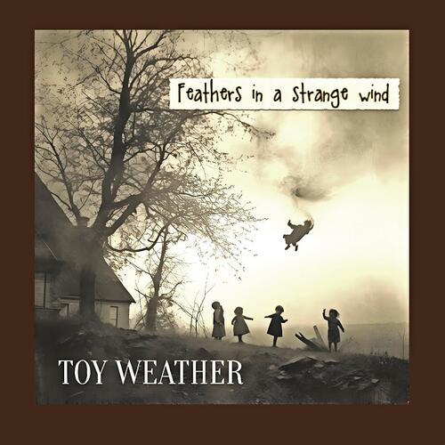Toy Weather Feathers In A Strange Wind (LP) 