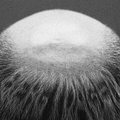 Vasas Flora Och Fauna Berg I Dagen (LP)