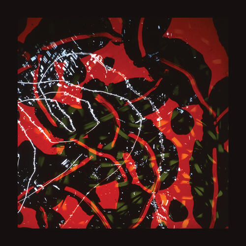 Brian Eno Nerve Net (2LP) 