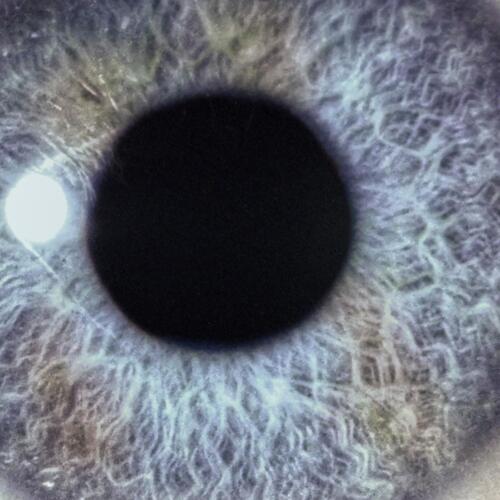 Dan Swanö Moontower - LTD (LP) 