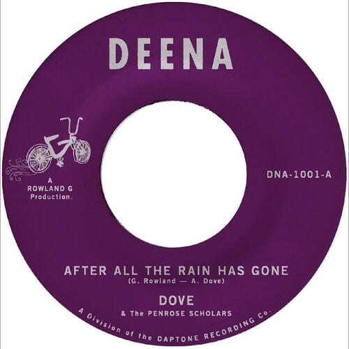 Dove After All The Rain Has Gone (7") 