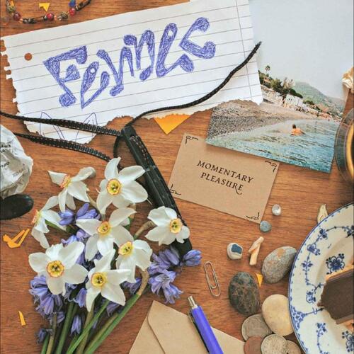 Fennec Momentary Pleasure (12") 