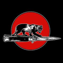 Jim Jones All Stars Cat Fight (LP)