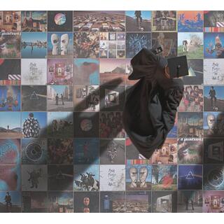 Pink Floyd A Foot In The Door: The Best Of… (CD)