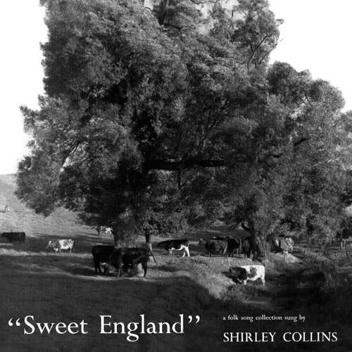 Shirley Collins Sweet England - LTD (LP) 