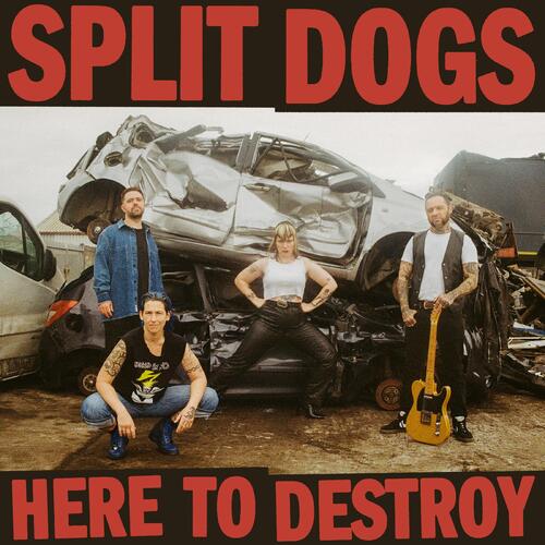 Split Dogs Here To Destroy - LTD (LP) 