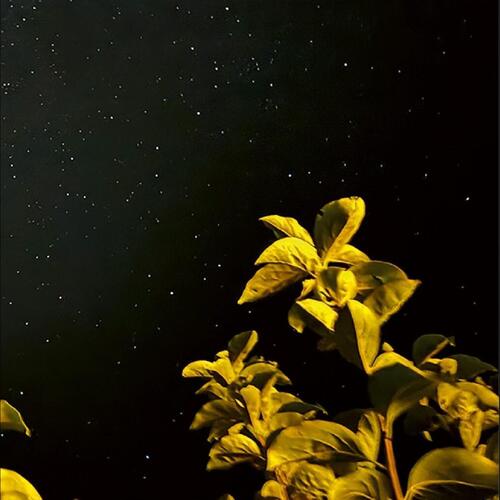 Thomas Peter Changing Bodies (LP) 