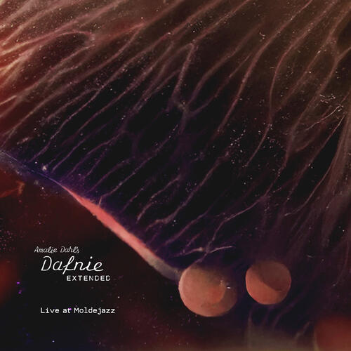Amalie Dahl’s Dafnie Extended Live At Moldejazz (2LP) 