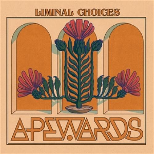 Apewards Liminal Choices (CD) 