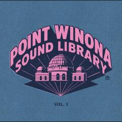 Diverse Artister Point Winona Sound Library Vol 1 (2LP)
