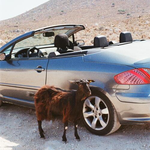 Exek Prove The Mountains Move (LP) 