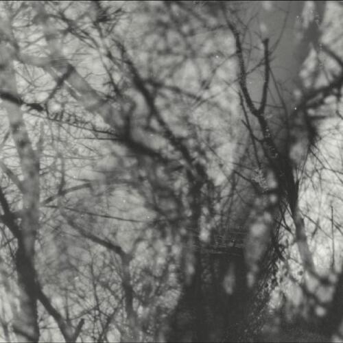 Grouper Way Their Crept (LP) 