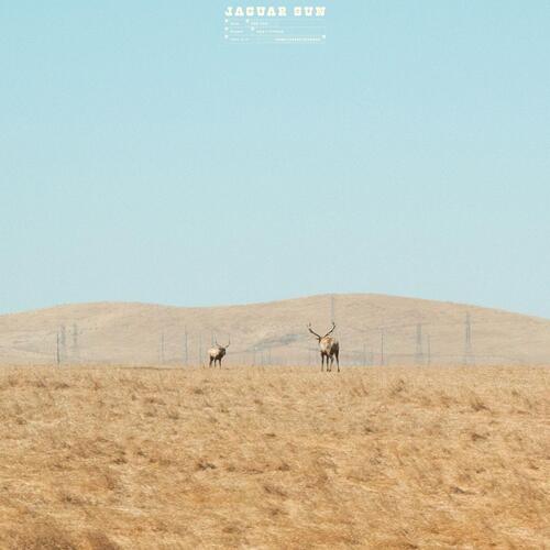 Jaguar Sun For You - LTD (LP) 