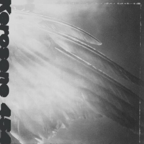 Kerosene 454 Came By To Kill Me - LTD (LP) 