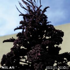 Niilas Nama Haga (CD)